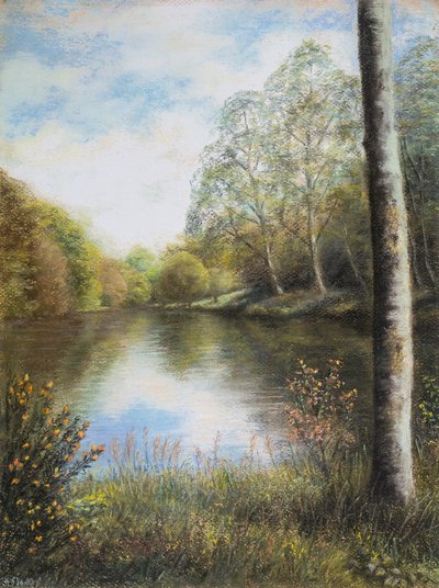 Rivière Dart, Devon - Margo Starkey